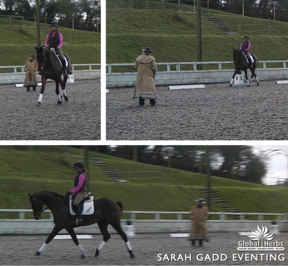 British Dressage training session with Leanne Wall